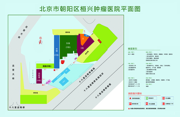 奸插大骚鲍北京市朝阳区桓兴肿瘤医院平面图